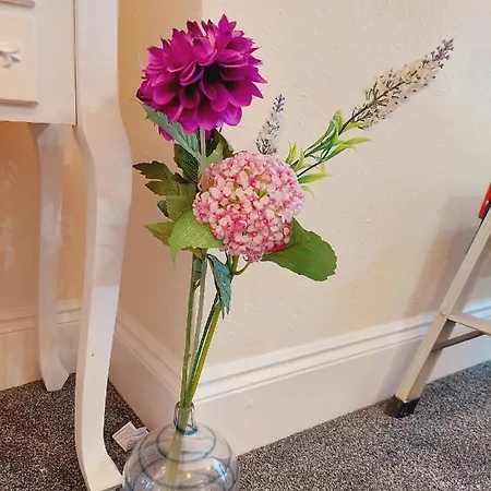 公寓 Elegant And Two Bedrooms House *