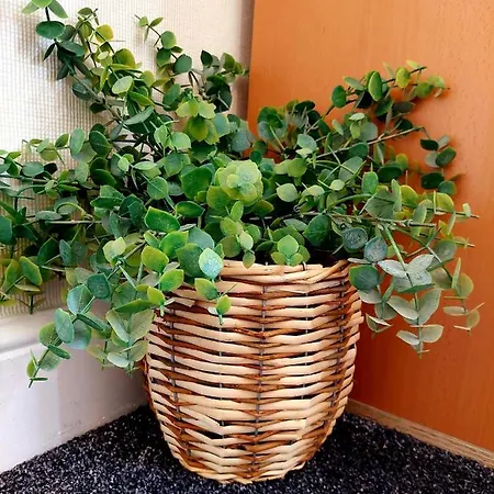 Apartmán Elegant And Two Bedrooms House