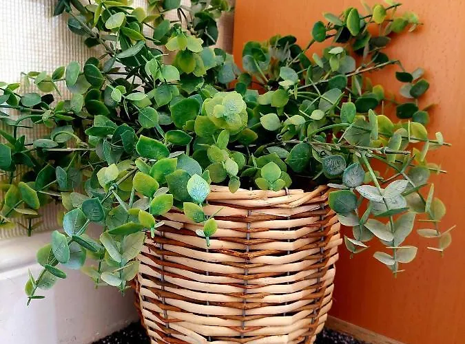 公寓 Elegant And Two Bedrooms House